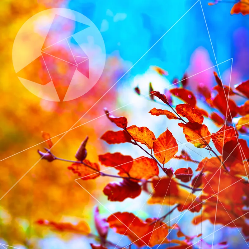 Cover: Kokolores - Rave the Autumn